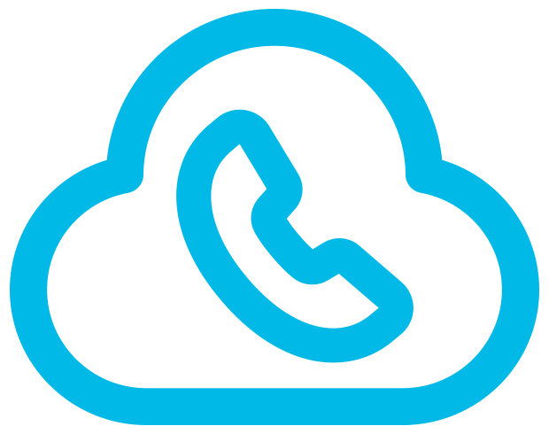 voip_voice voip_voice